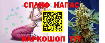 бошки Будённовск