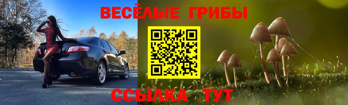 Артёмовский  Псилоцибиновые грибы Psilocybe  Вход с VPN 